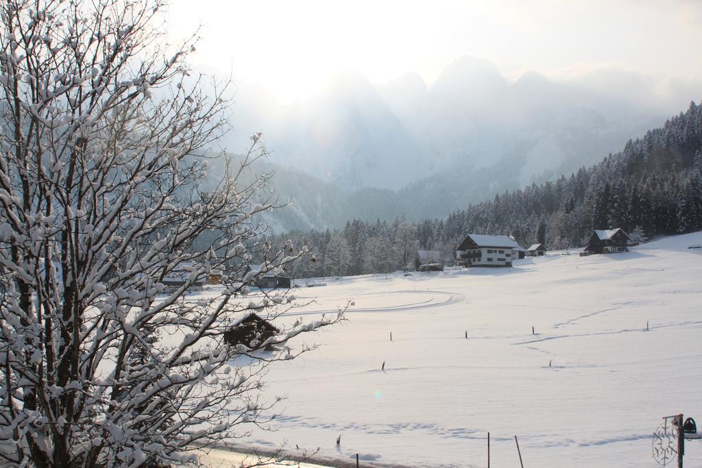 Muhlradl Apartments Gosau Exterior foto