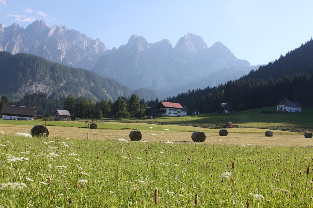 Muhlradl Apartments Gosau Quarto foto